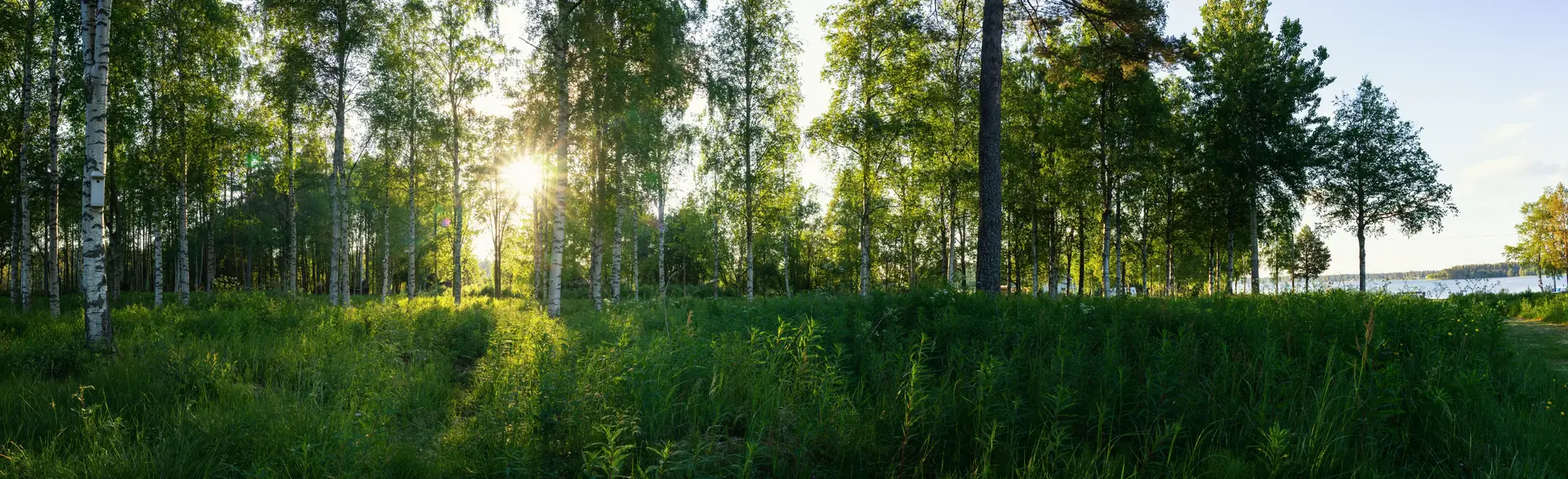 Ventilation i Sverige — FTXinstallation.nu
